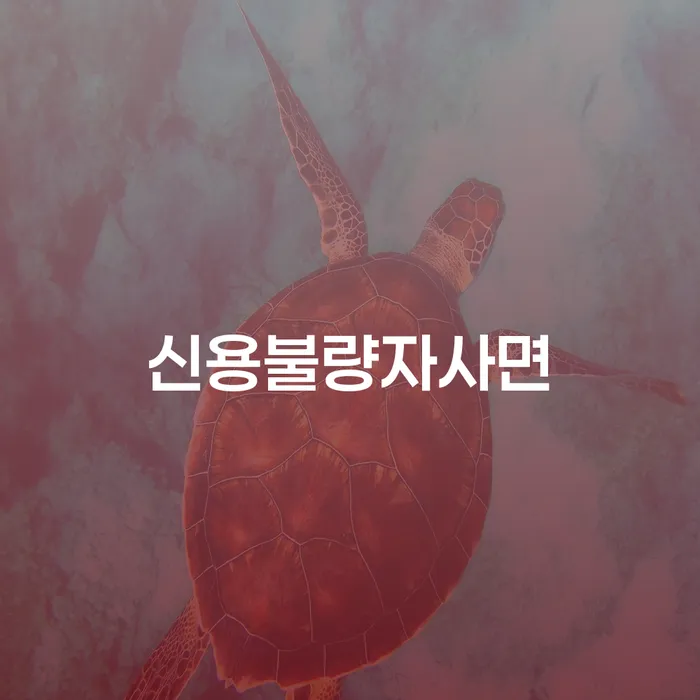 도박회생 개인회생 하는 중요한 팁