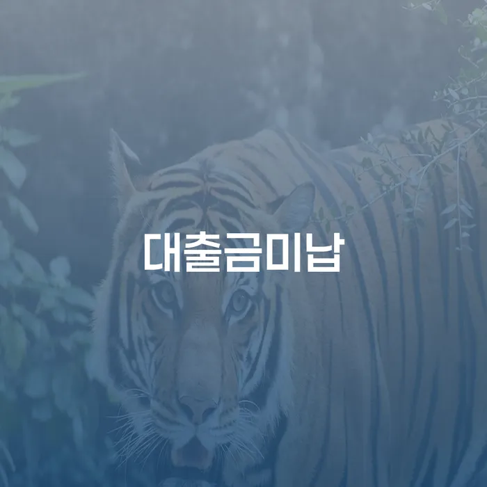 신용불량자사면 개인회생 제도 적정한