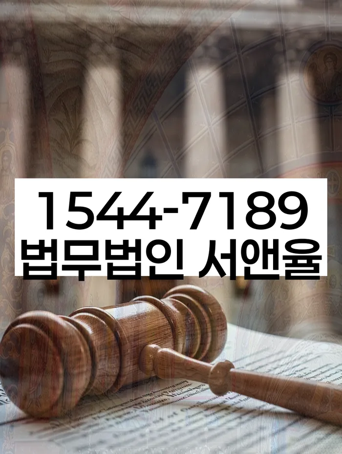 면책확인의소