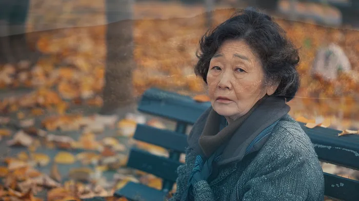 개인회생변호사