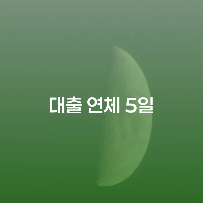 사채이자가 감당이 안될 때 신용회복 총정리