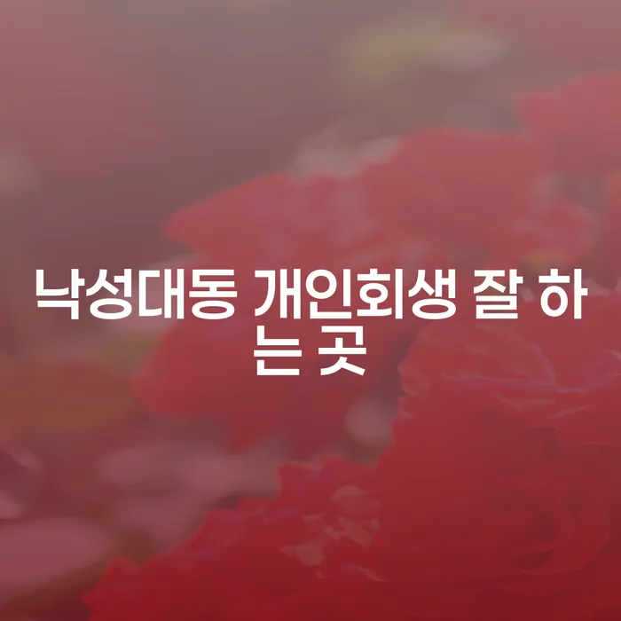 낙성대동 개인회생 잘 하는 곳