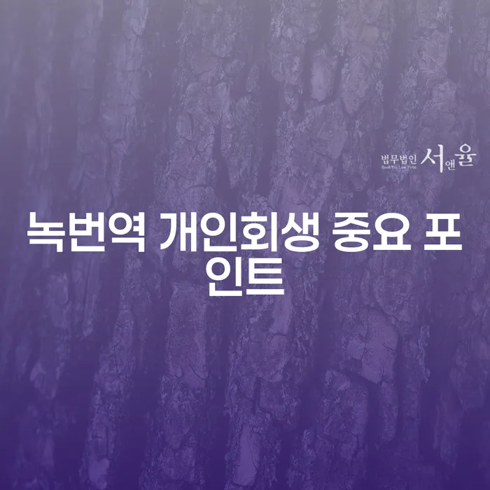 녹번역 개인회생 중요 포인트