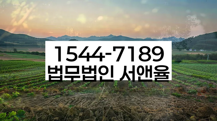 개인회생 파산 면책 사례