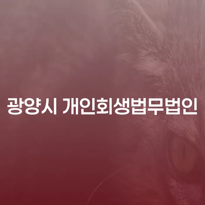 광양시 개인회생법무법인과 부여군 개인회생, 당신의 채무 해결을 위한 올바른 선택은?