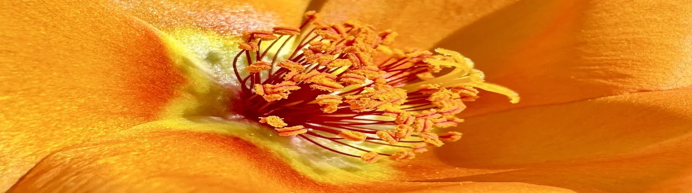 법무법인 서앤율